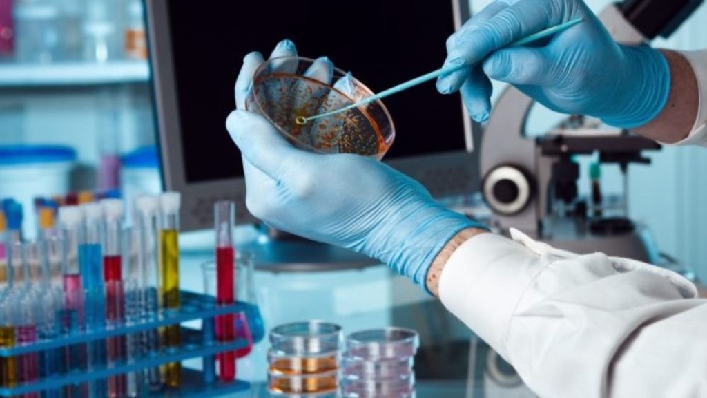 genetik testler hangi bilgileri sunar ve neden önemlidir