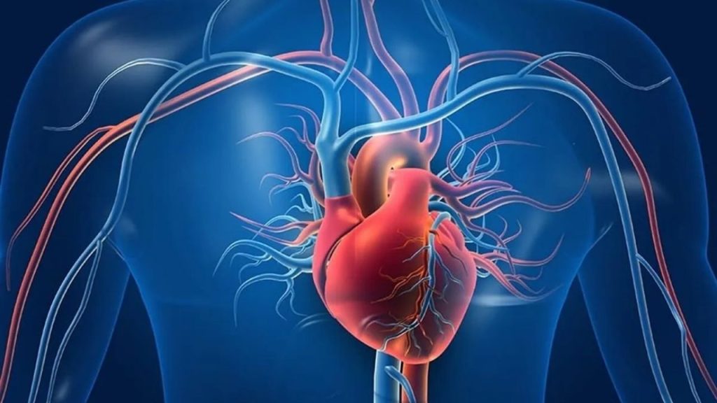 kalp ve damar sağlığınızı İyileştirecek 10 Öneri hangi taktikleri denediniz