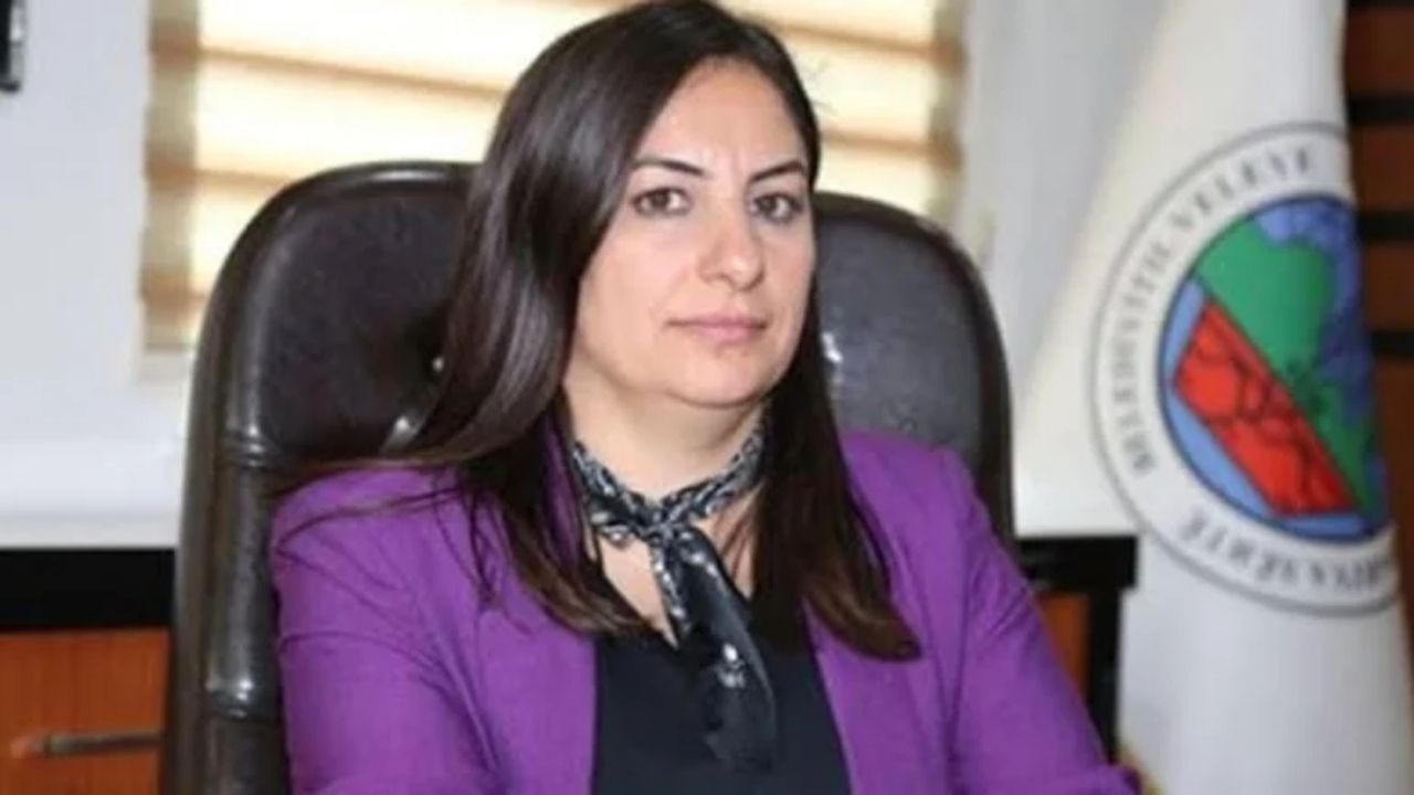 siirt belediyesi’ne kayyum atandı eş başkan alağaş'tan sert tepki