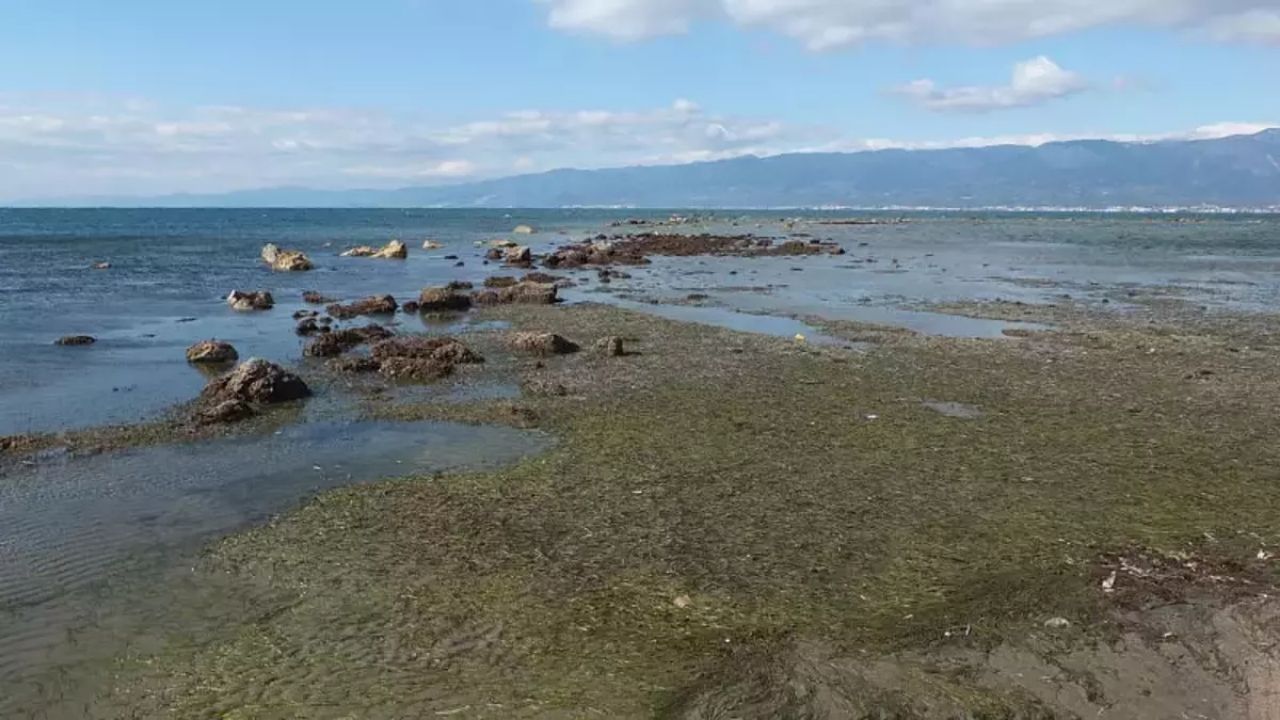 balıkesir'de deniz geri Çekildi, antik liman gün yüzüne Çıktı (1)