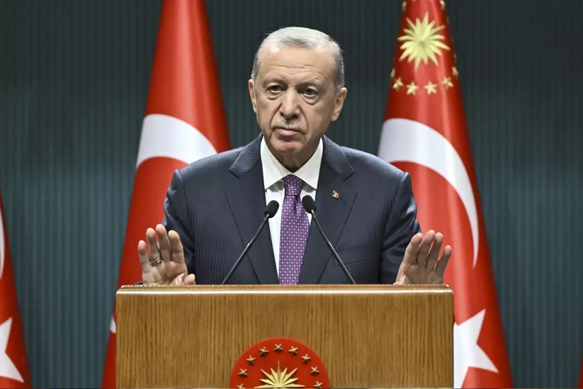 cumhurbaskani-erdogan-teror-orgutu-uzattigimiz-18419576_1965_amp.jpg