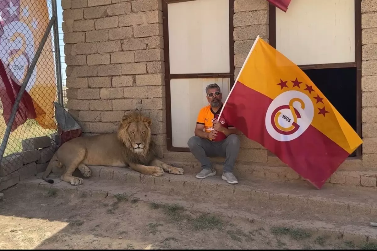 galatasarayli-taraftar-sampiyonlugu-aslanlariyla-18667851_4729_amp.jpg