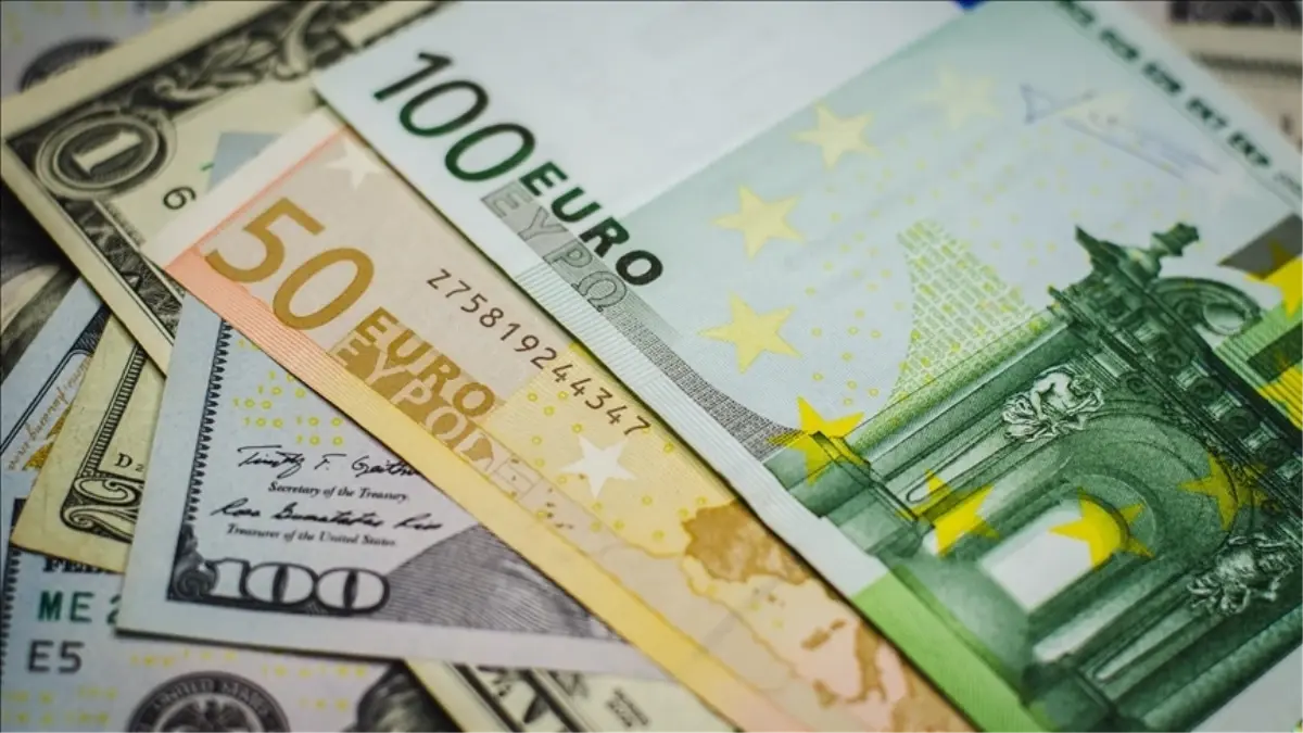 euro-ne-kadar-5-haziran-2025-bugun-merkez-18717469_9880_amp.jpg