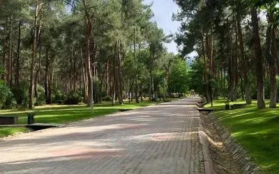 Genç kızları takip eden adam parkta taciz etti.