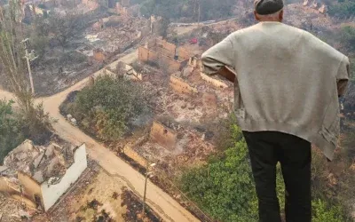 Sakarya’dan Bilecik’e Sıçrayan Yangın Köyü Kül Etti!