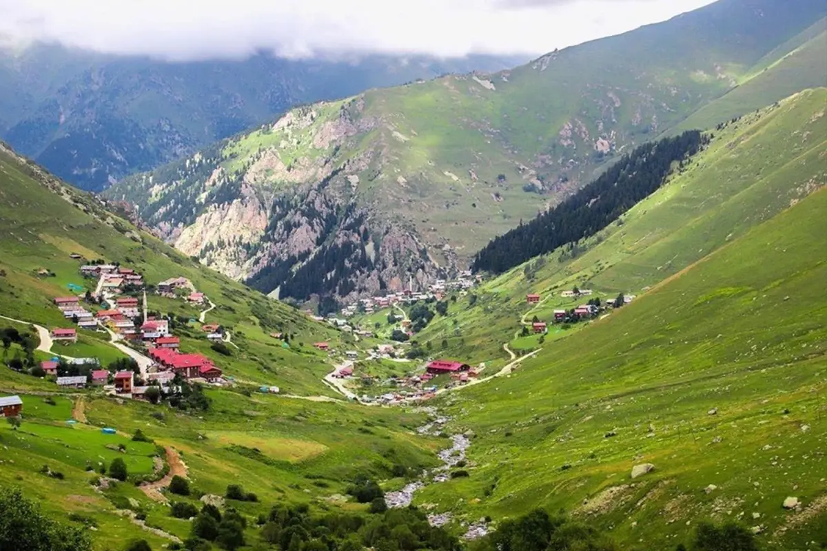 trabzon-da-yaylaya-cikan-75-kisi-kayboldu-18749679_2867_amp.jpg