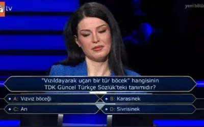 “Uçan böcek türü vızıldıyor” – TDK Güncel Türkçe Sözlük’te hangi tanım vardır?