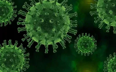 ABD’de 18 Yıl Sonra İlk Veba Ölümü Gerçekleşti