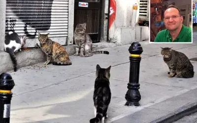 Kedi tüyü solunumu ölümcül oldu: Adam öldü