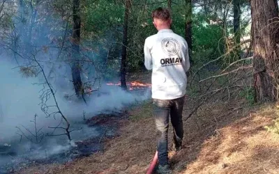 Amasya’da orman yangını: 10 dekarlık alan tahrip oldu