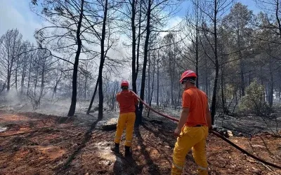 Antalya yangınlarının güncel durumu ne?