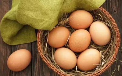 Yumurta İhracatında Kesinti Kalktı!