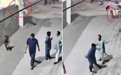 Evde beslenen aslan, duvardan atlayarak sokaktaki insanlara saldırdı