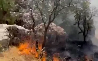 Adıyaman’da Orman Yangını Başarıyla Söndürüldü