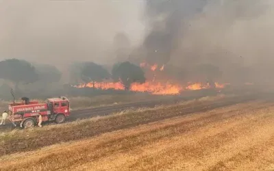 Silivri’de hızla yayılan yangın 50 evi boşalttı