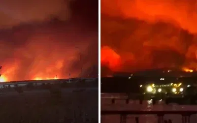 Tekirdağ’da Orman Yangını Kontrolden Çıktı, Yerleşim Alanları Tehlikede!