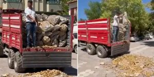 Bedava Patates Dağıtan Çiftçiye 17 Milyon TL’ye Kadar Ceza Yolda