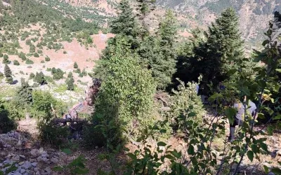 Adana’da Uçuruma Yuvarlanan Araçta 2 Kişi Hayatını Kaybetti