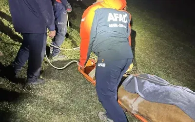 Kayalıklara sıkışan inek, 12 saatlik müdahale sonucu kurtarıldı