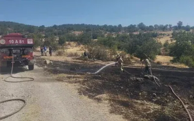 Burhaniye’deki yangın kontrol altına alındı