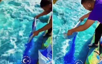 Su kanalını temizleme çabası felakete dönüştü