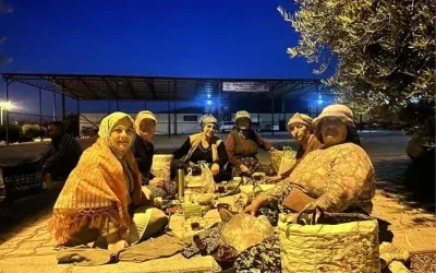 Sema Silkin, Üzüm Üreticilerinin Sorunlarını Gündeme Taşıdı