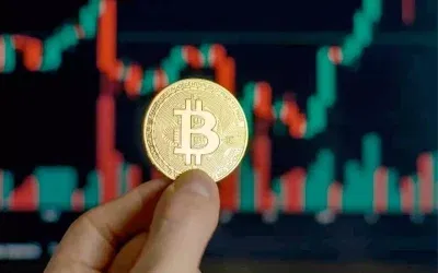 Bitcoin Yatırımcıları Haftada Bir Kaçırılıyor