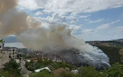 Kocaeli Ağaçlık Alandaki Yangın Kontrol Altında