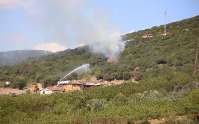 Kocaeli’deki Ot Yangını Ormana Sıçradı, Durum Kontrol Altında