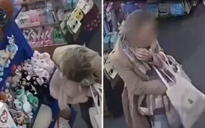 Peluş oyuncaklarına hırsızlık yapan kişi yakalandı