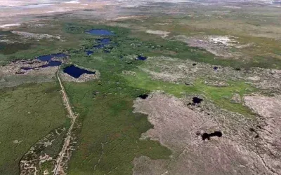 Sultan Sazlığı’nda Kuraklık: Kuş Cenneti Tehlikede