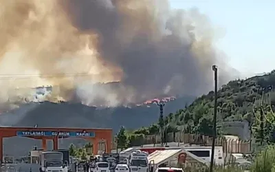 Suriye’den Türkiye’ye Orman Yangını Tehlikesi