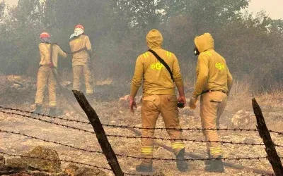 Kastamonu’da Orman Yangını: 3 Ev Zarar Gördü, Müdahale Sürüyor.