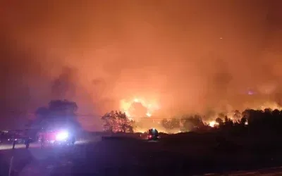 Karacabey’de Orman Yangını Kontrol Altına Alındı