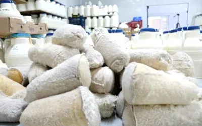 Erzincan Tulum Peyniri Üretim Süreci