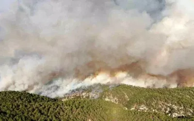 Kastamonu-Karabük Sınırında Orman Yangını: 2.736 Hektarlık Zarar