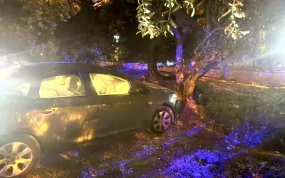 Erdek’te Otomobil Zeytin Bahçesine Dalıp Kaza Yaptı: 1 Yaralı