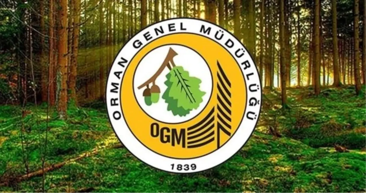 ogm-personel-alimi-basvuru-orman-genel-mudurlugu-19089911_8091_amp.jpg
