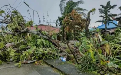 Vietnam’da Bualoi Tayfunu Nedeniyle 250 Bin Kişi Tahliye Ediliyor