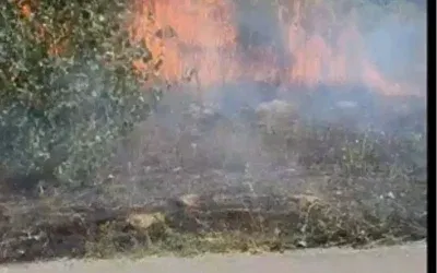 Bolu’da Yol Kenarında İki Yangın Hızlı Müdahale İle Kontrol Altına Alındı