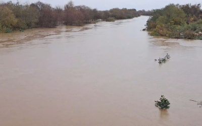 Bafa Gölü’ne Nehirden Su Akışı Başladı