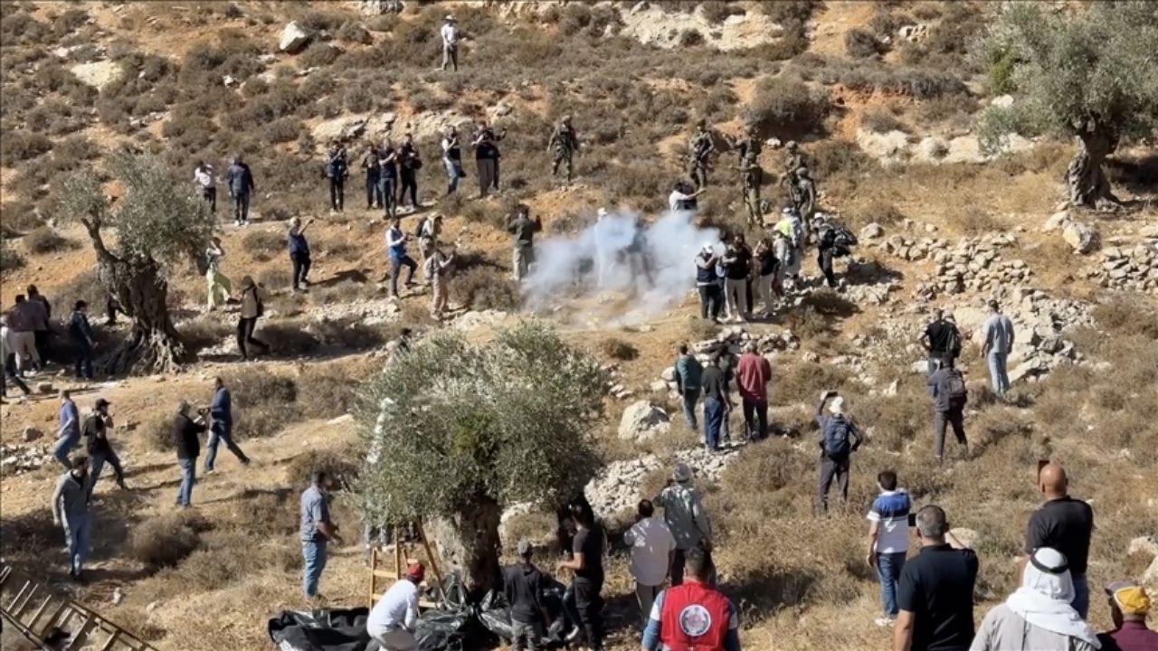 Ramallah'ta Kadına Saldırı Zeytin Toplayan Kadına Şiddet