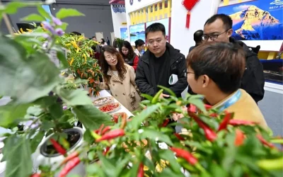 Çin Yangling Tarım Fuarı Başladı!