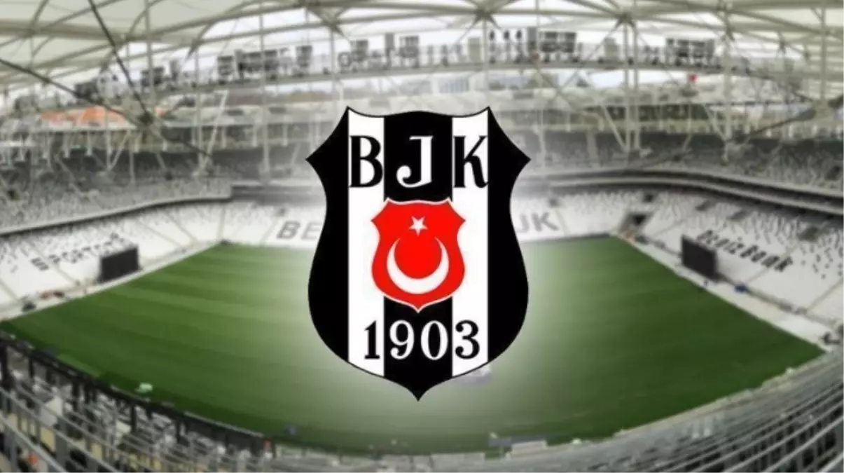 besiktas-dikilitas-projesi-nedir-ne-kadar-gelir-19203033_911_amp.jpg