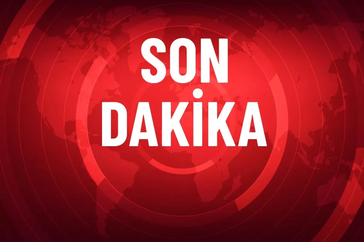 gullu-nun-adli-tip-raporu-ortaya-cikti-19120243_5689_amp.jpg