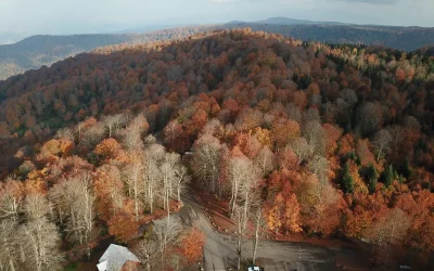 Kuzuyayla Tabiat Parkı’nda Sonbahar Renkleri