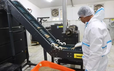 Muğla’da Sokak Hayvanları İçin Yeni Mama Tesisi Açıldı