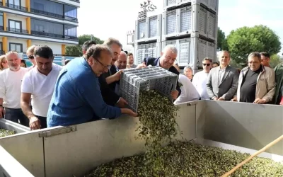 Edremit Zeytinyağı Tadım Festivali: Kültür ve Bilinçli Tüketim Başta Geliyor