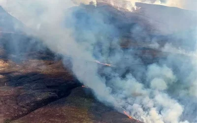 Yeni Zelanda Orman Yangını: 2.500 Hektarlık Alan Tehlike Altında