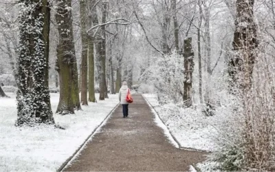 Almanya’da Kar ve Buzlanma Trafik Kazalarına Yol Açtı